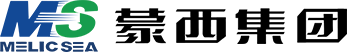 內(nèi)蒙古蒙西高新技術(shù)集團(tuán)有限公司